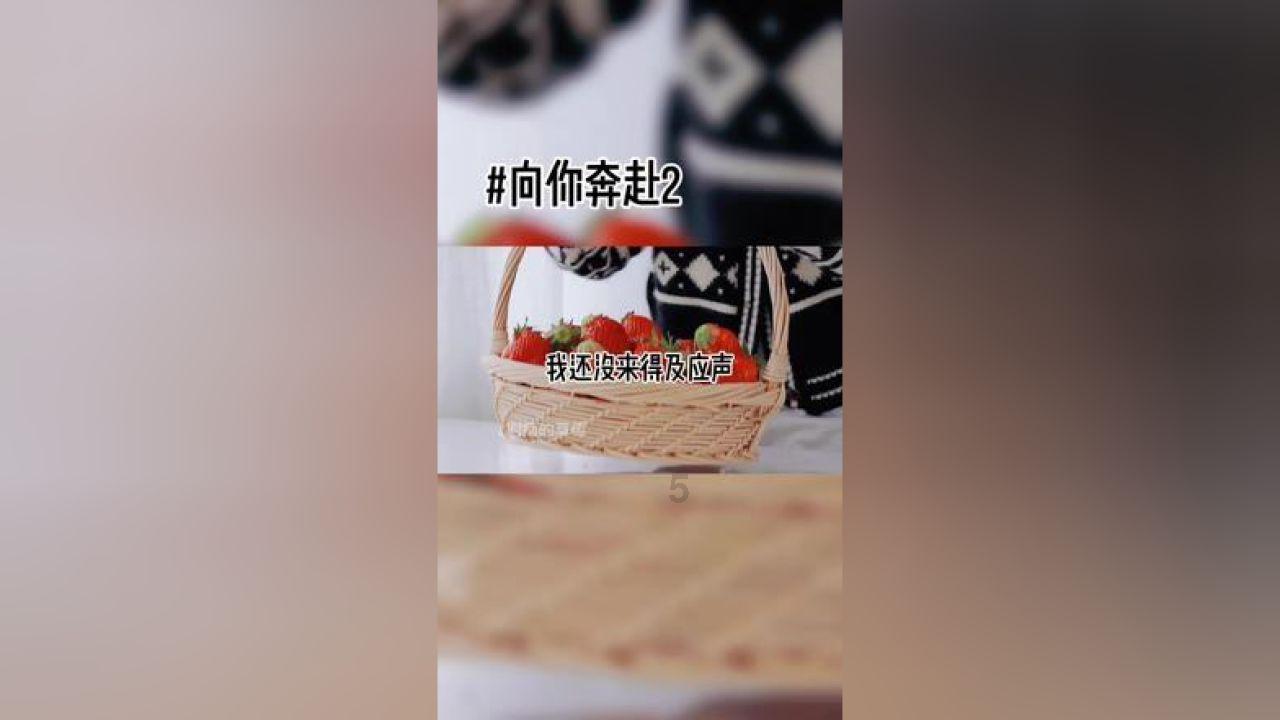 福莱纳找车轮
