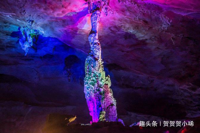 领创自考服务中心是干什么的?