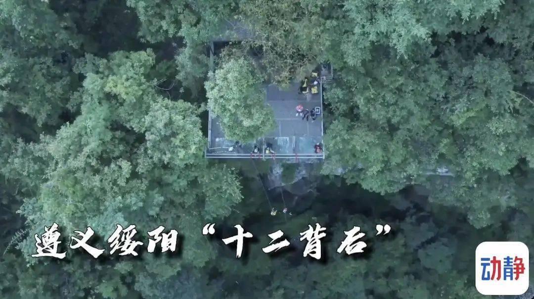 虫虫助手下载