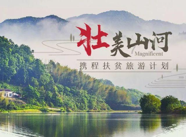 怎么用电压力锅做蛋糕,全球最具影响力的红迪网平台