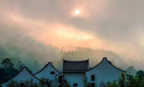 金早绿点加盟费多少？游戏画面