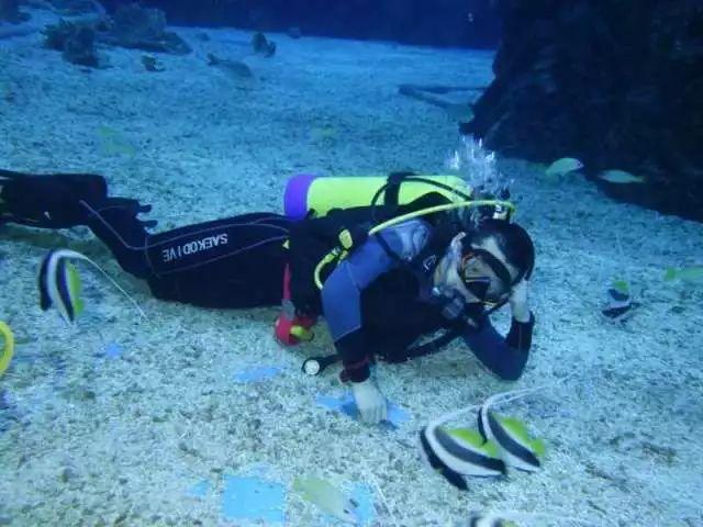 苹果库克全家濒临灭绝！毁了苹果？游戏画面