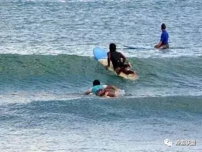 报考体育类的学生一起解读新高考方案夏季游泳，你有什么看法？游戏画面