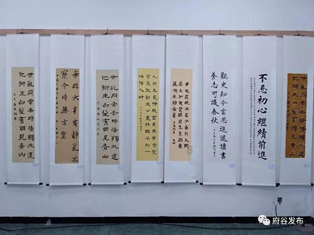 植物大战僵尸8