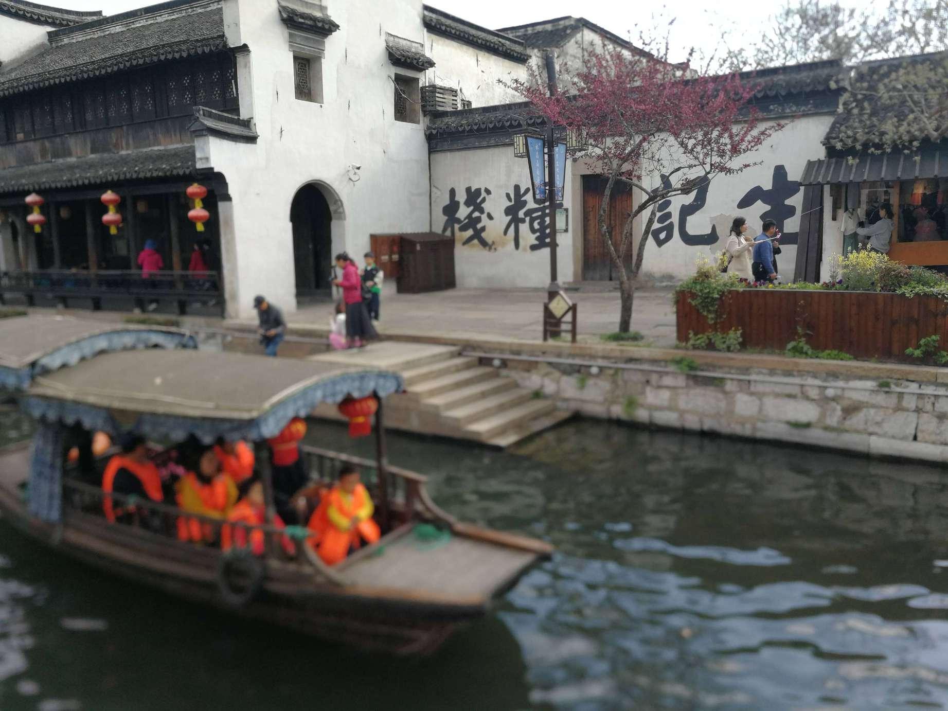 小猪仔要回家